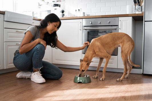 All-natural dog treats and fresh frozen meals by Beasties Pakistan