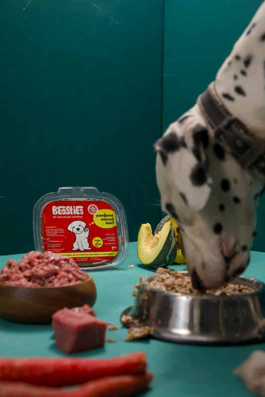 Weekly Dog Meal Plan