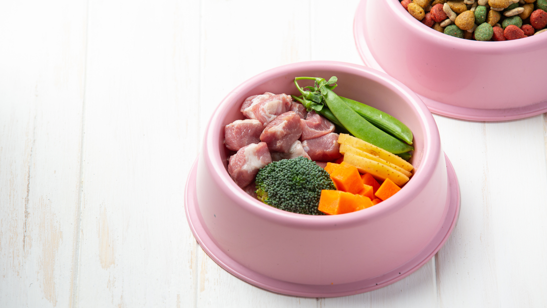 Top 5 Healthy Dog Food Recipes Every Dog Owner Must Try