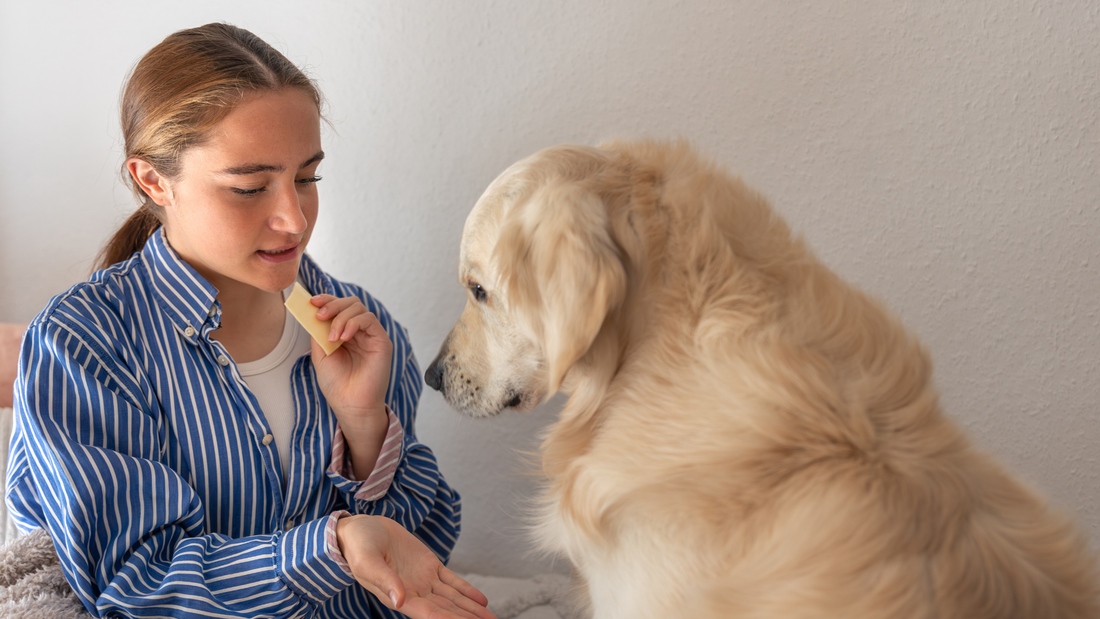 whole food diet for dogs