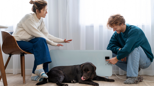 Anxious dog relaxing in a safe space with toys