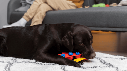 Interactive puzzle toy for dogs with treat dispenser