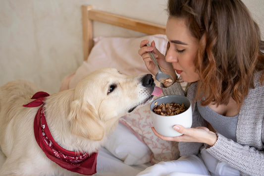 Best Dog Probiotics in 2025: Top Supplements for Better Digestion & Gut Health