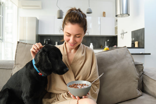 Dog enjoying a bowl of wet food