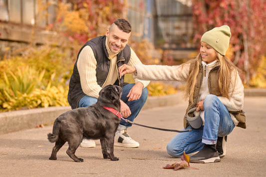 Dog training session during Responsible Dog Ownership Day event