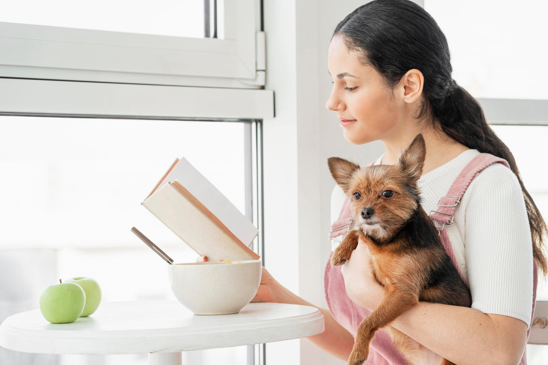 healthy dog nutrition meal bowl