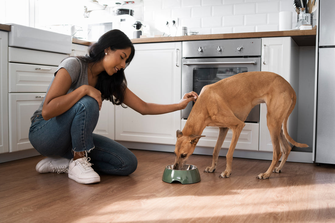 All-natural dog treats and fresh frozen meals by Beasties Pakistan