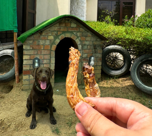 Chicken Necks
